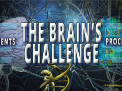 Reading: The Brain’s Challenge: Processing Stutters – Processing Speed brains challenge