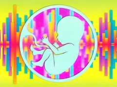 womb-sound-auditory-development-neuroscienecs-1